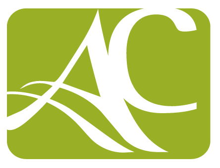 Actoris Consulting